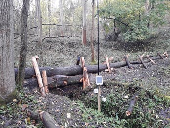 A leaky dam in the woodlands at Thorndon Country Park